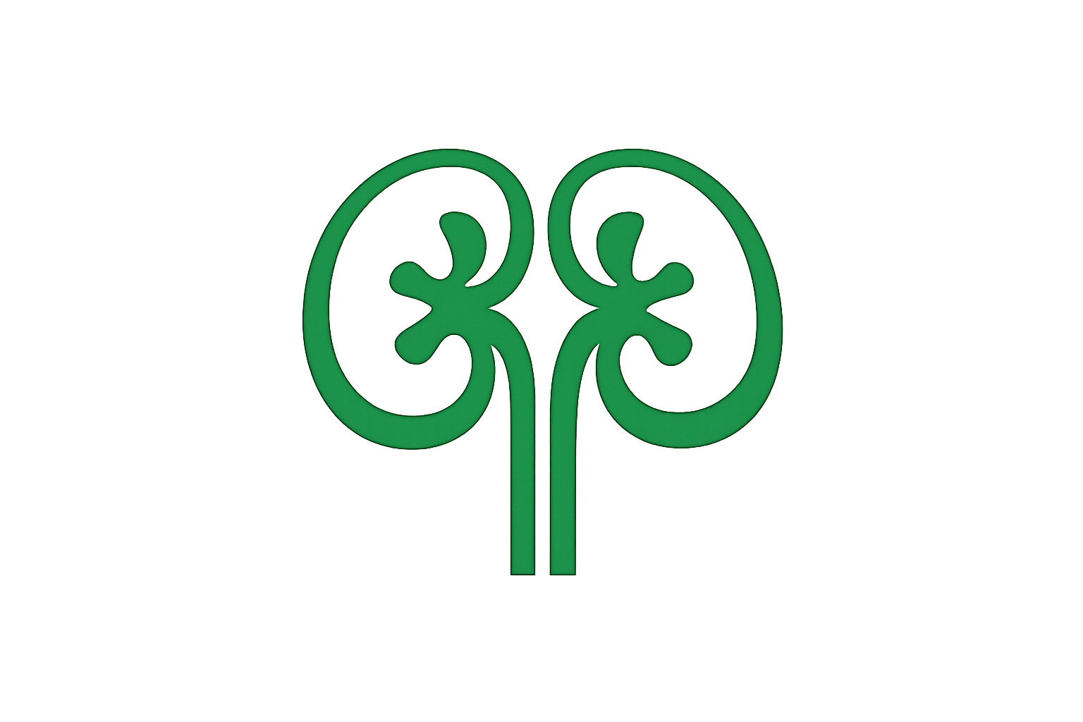 Nephrology & Kidney Care